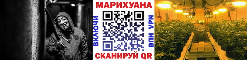 Бошки Шишки SATIVA & INDICA  что такое   Сысерть 